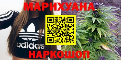 прущие грибы Шахты