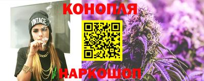 прущие грибы Шахты